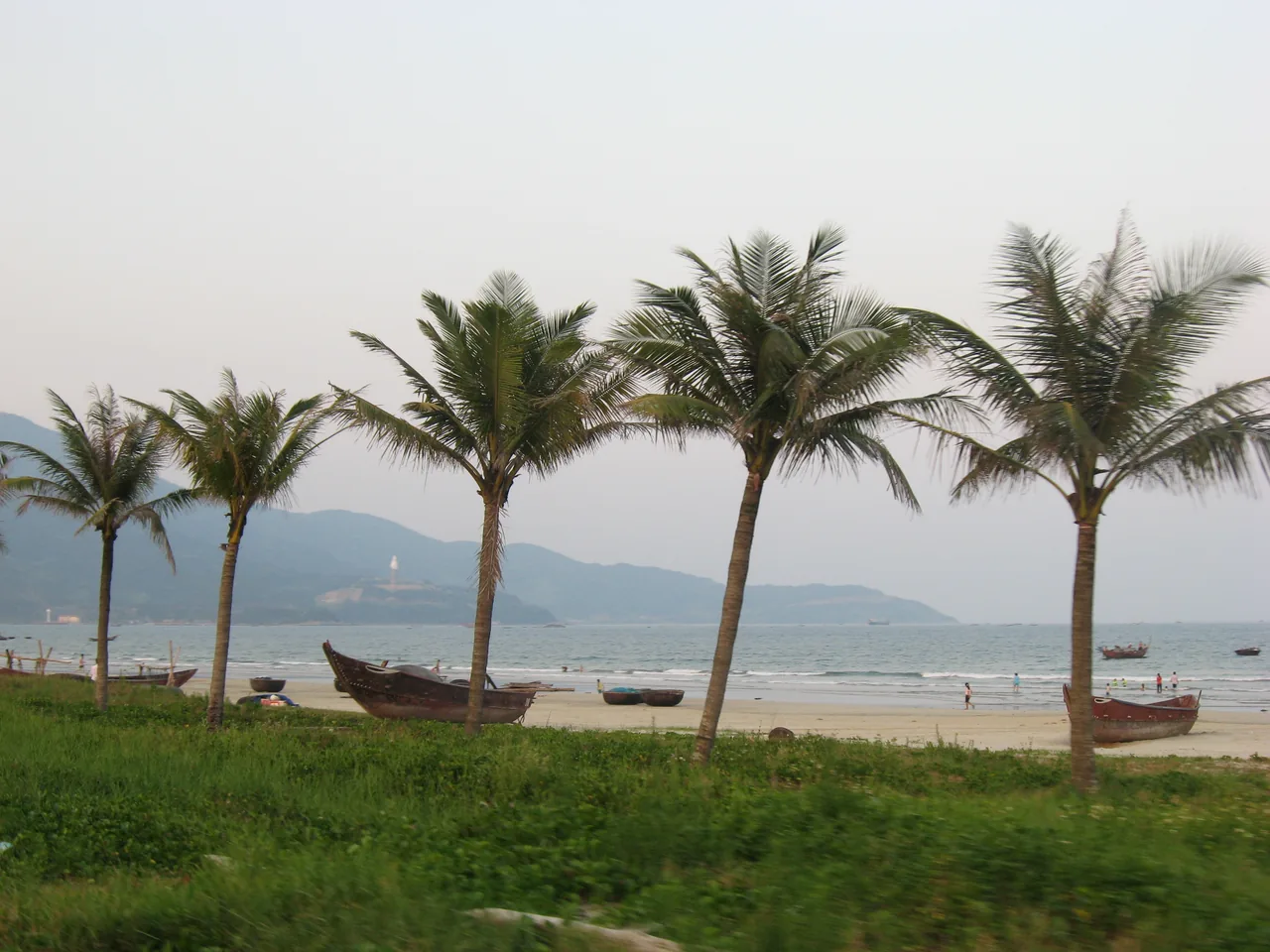 Palm trees framing a quiet Da Nang beach with the Son Tra peninsula behind