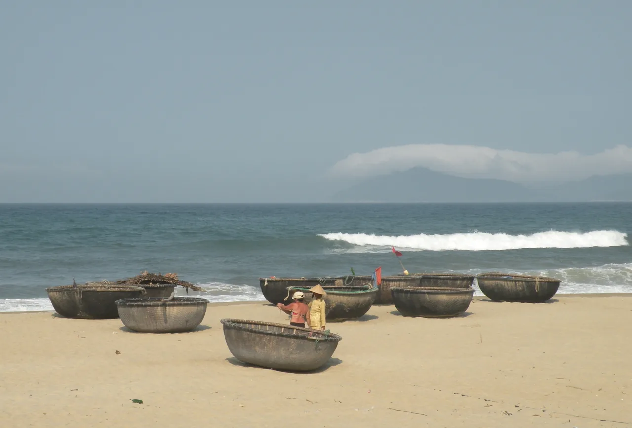 A basket boat in the water-coconut palms of Cam Thanh near Hoi An