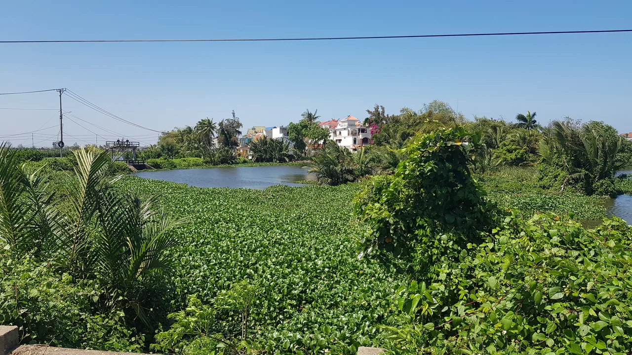 Biển An Bàng và vùng quê xanh gần Hội An