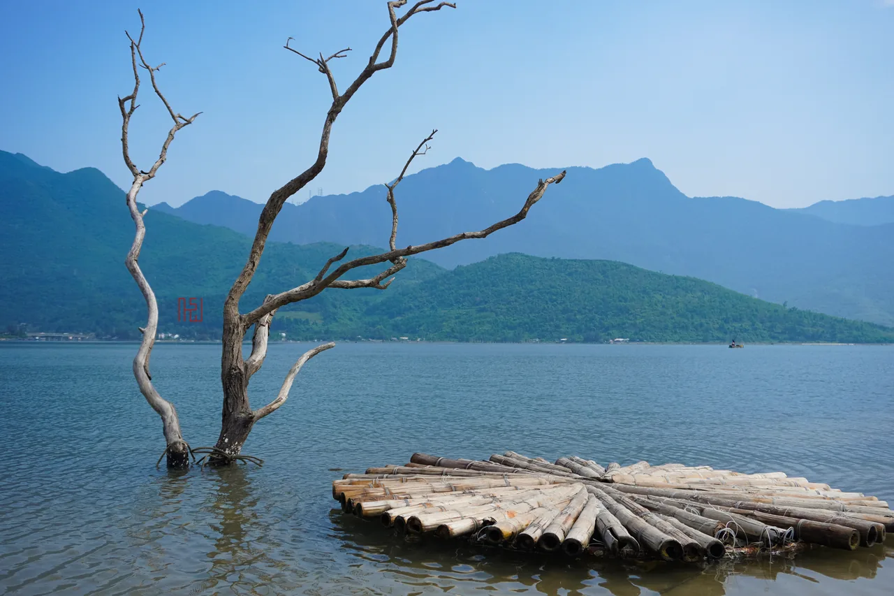 The lone dead tree and oyster rafts on the mirror-still Lap An Lagoon, Vietnam