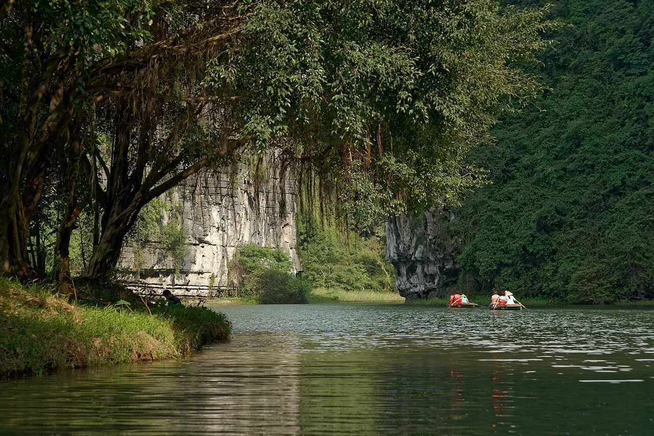 Sampan boats gliding through the limestone karsts of Trang An, Ninh Binh