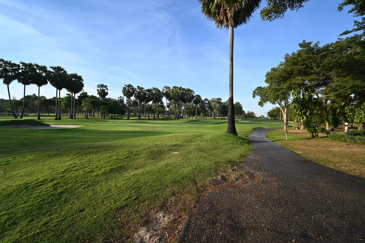 A palm-lined fairway on a sunlit tropical golf course A palm-lined fairway on a sunlit tropical golf course