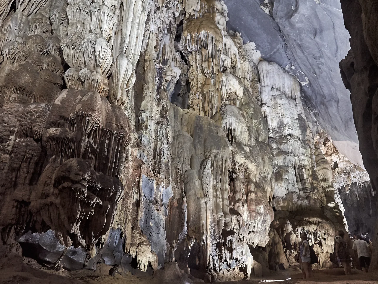 Draped flowstone formations rising from the floor of Phong Nha Cave
