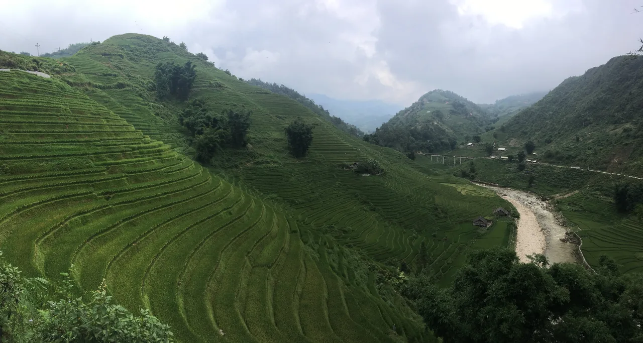 Sweeping green rice terraces curving down the Muong Hoa Valley to a river below Sapa, Vietnam
