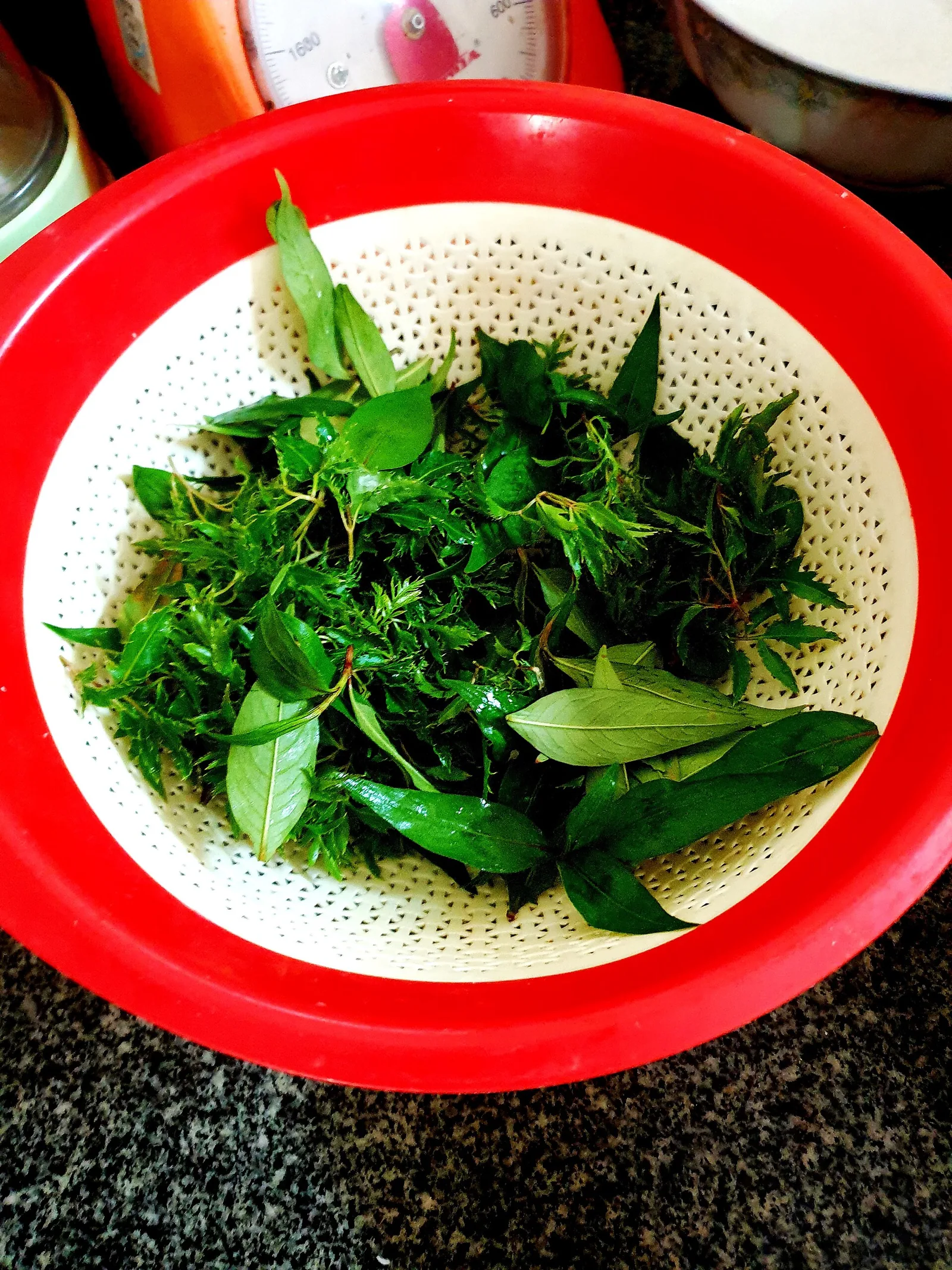 Fresh Vietnamese herbs and vegetables grown at Tra Que Village