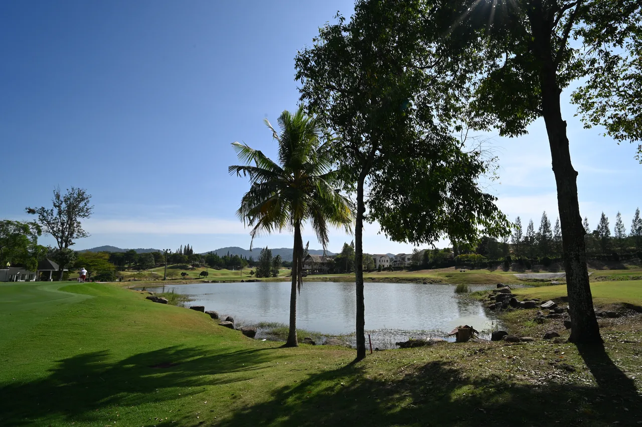 A lush tropical golf course with a pond and palm trees under a blue sky