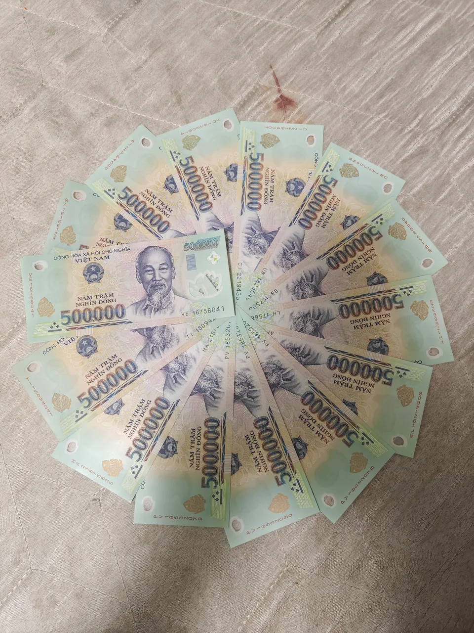 Several Vietnamese 500,000 dong banknotes fanned out in a circle