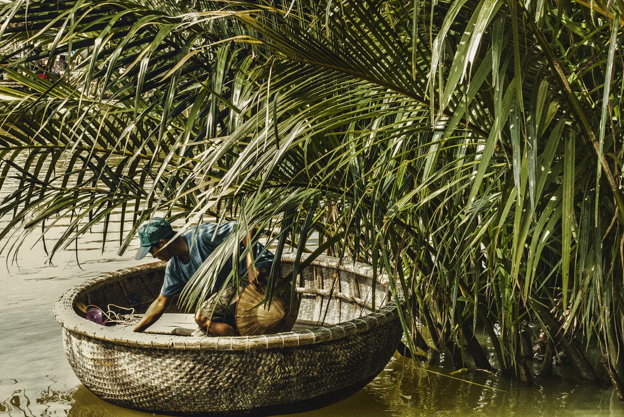 A round bamboo basket boat gliding through the coconut palms at Cam Thanh, Hoi An