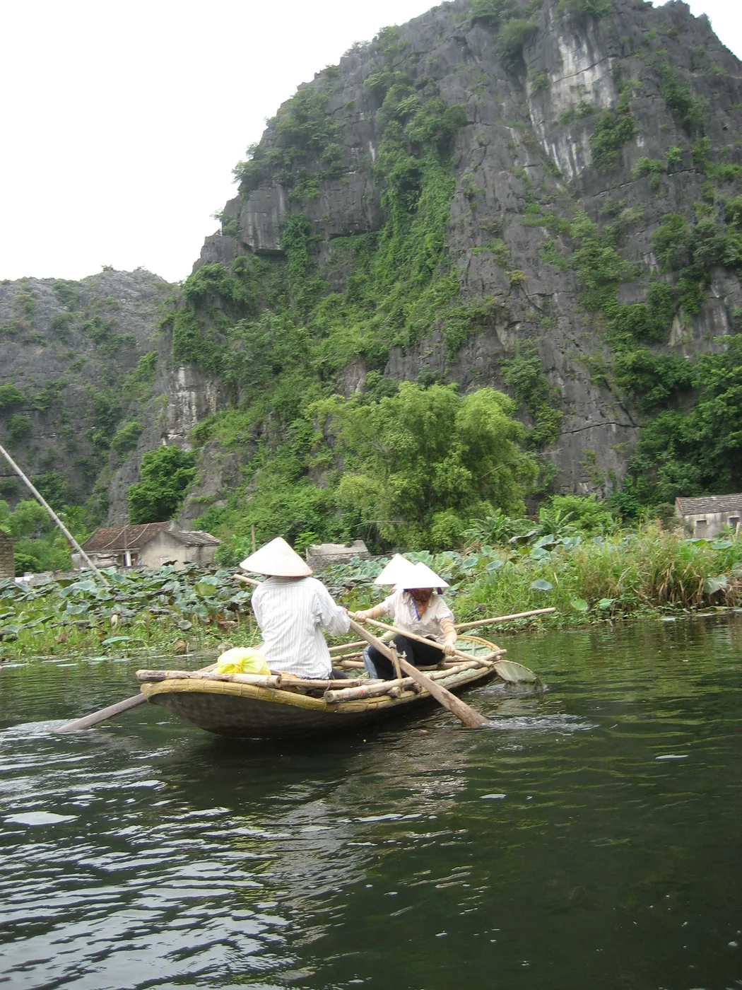 Rowing boats gliding through the Trang An river caves past towering karst cliffs and green rice paddies near Ninh Binh.