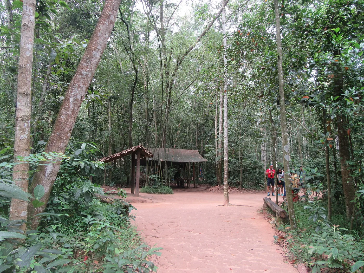 Red dirt path through the forest at the Cu Chi tunnels site