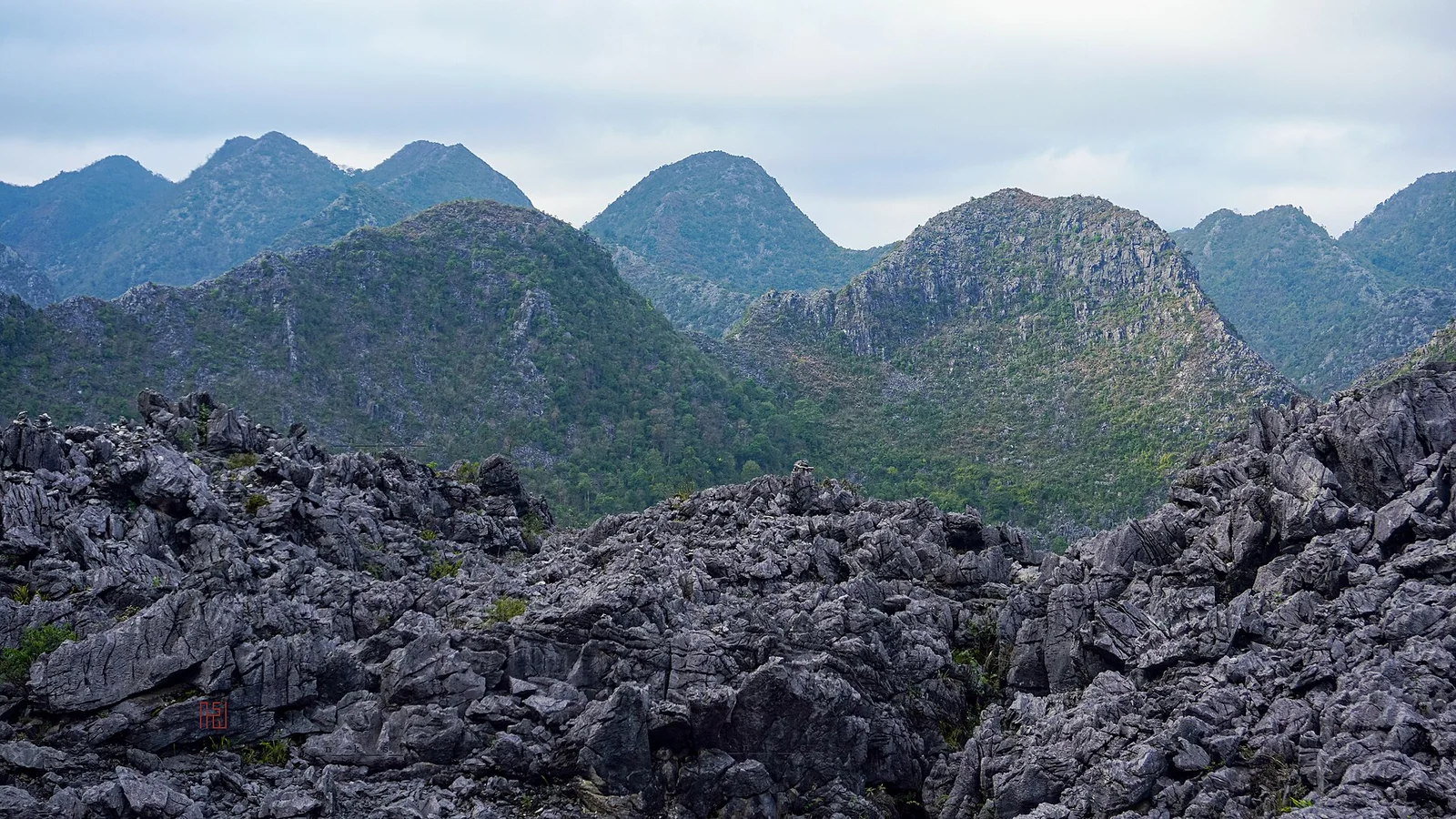 Bare grey limestone rock peaks of the Dong Van karst plateau in Ha Giang