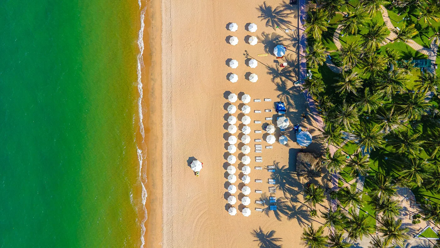 Overhead view of Tran Phu beach in Nha Trang, with rows of white parasols and sun loungers on pale sand, green shallow water on one side and coconut palms on the other