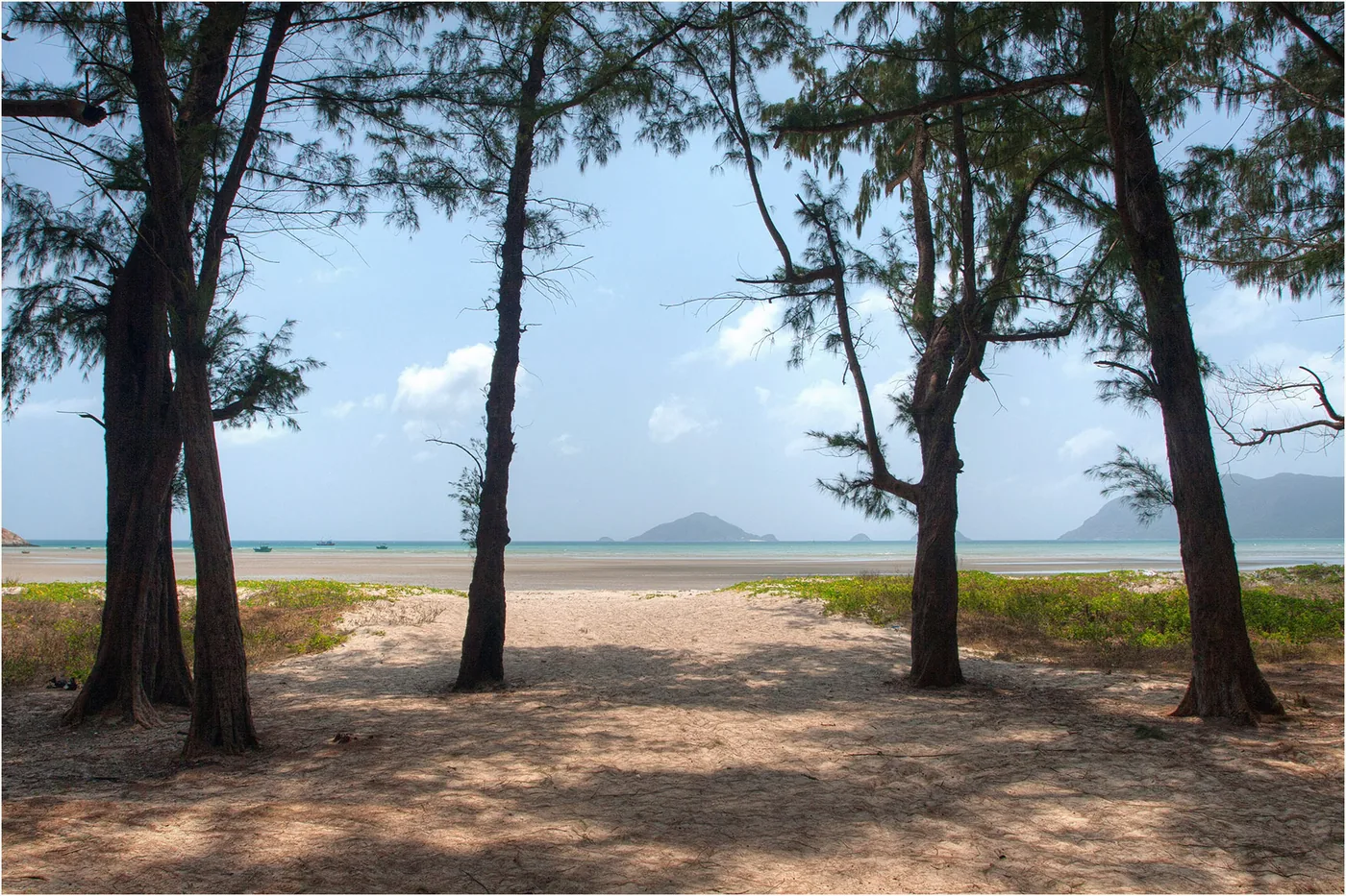 Casuarina trees along Lo Voi beach with calm water beyond them