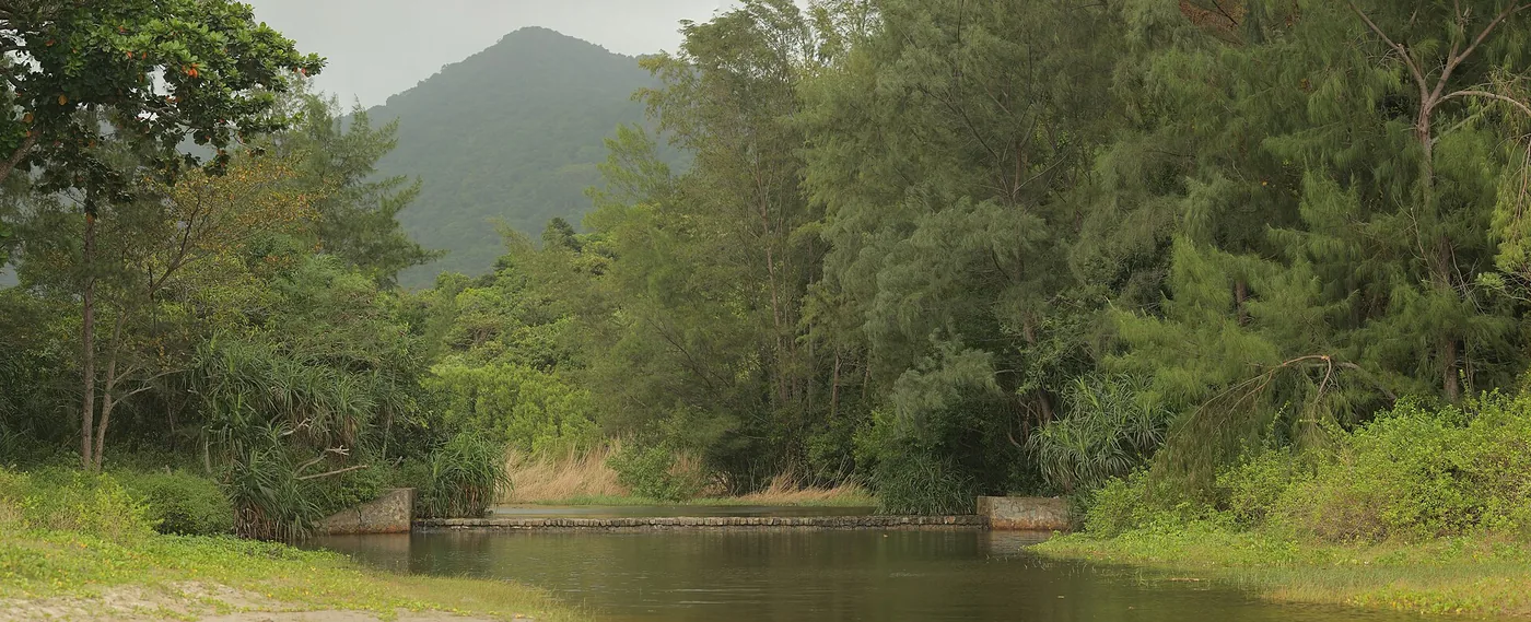 A reservoir in Con Dao National Park ringed by forest