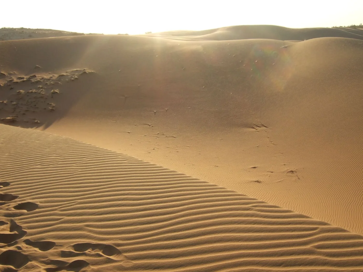 Low sun on the ridged sand of the red dune at Mui Ne with footprints across the slope Low sun on the ridged sand of the red dune at Mui Ne with footprints across the slope