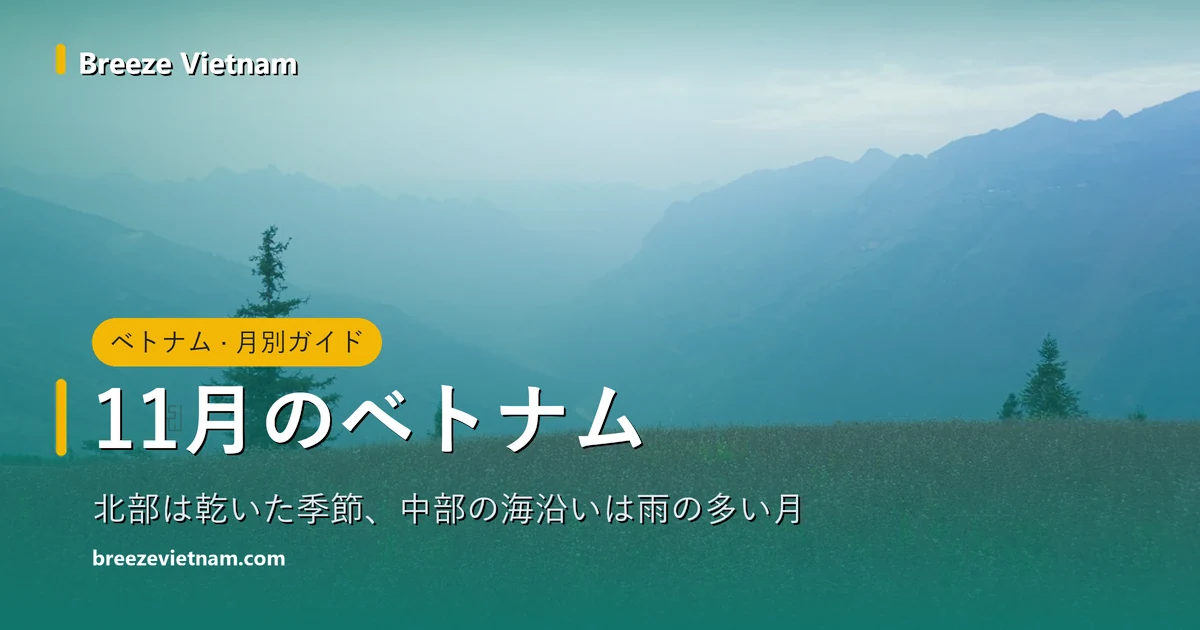 11月のベトナム月別ガイドのカード、背景はハザン高原のソバ畑