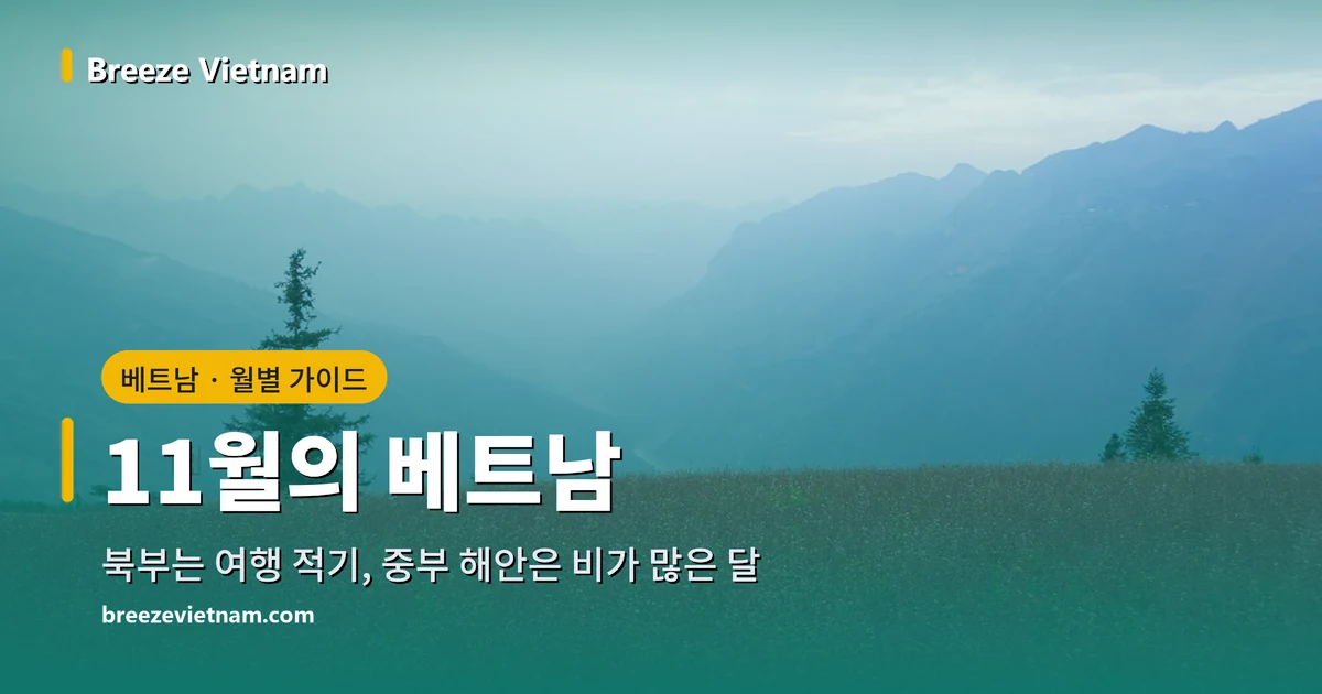 11월의 베트남 월별 가이드 카드, 하장 고원의 메밀꽃밭 배경