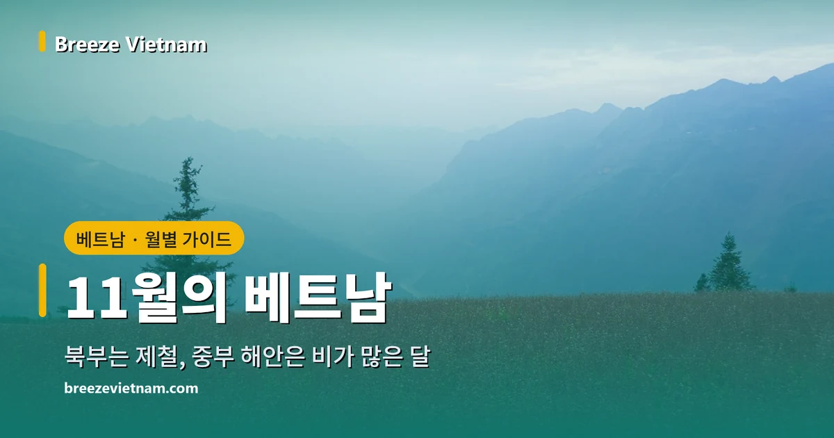 11월의 베트남 월별 가이드 카드, 하장 고원의 메밀꽃밭 배경