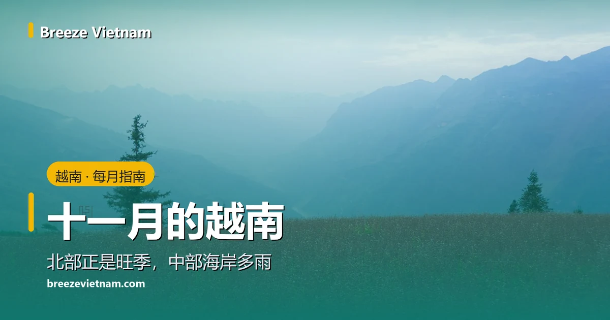 十一月的越南指南卡片,背景是河江高原的蕎麥花田