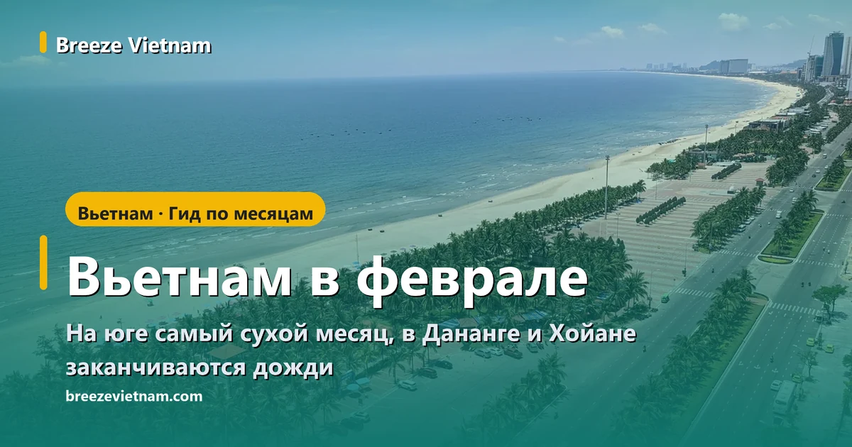 Карточка гида «Вьетнам в феврале» на фоне длинного пляжа Дананга с высоты